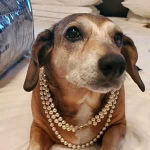 Meet your Posher, Christine